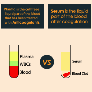 Plasma VS Serum Differences And Comparison Guide. – 24 Hours Of Biology