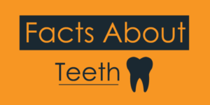 Facts About Teeth