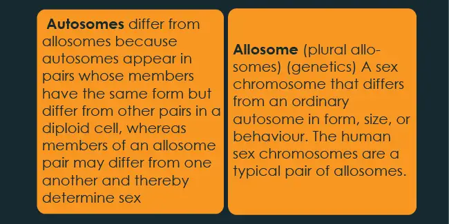 autosome and allosome