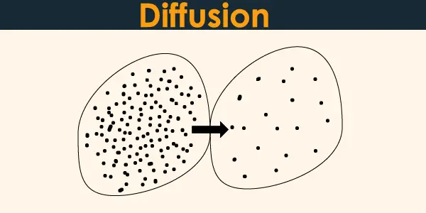Diffusion Definition Examples And Types Biology Images