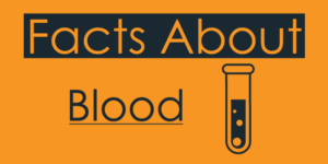 facts about blood 