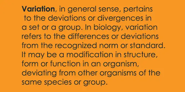 variation-definition-biology