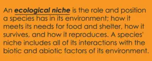 ecological niche