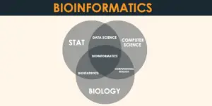What is Bioinformatics
