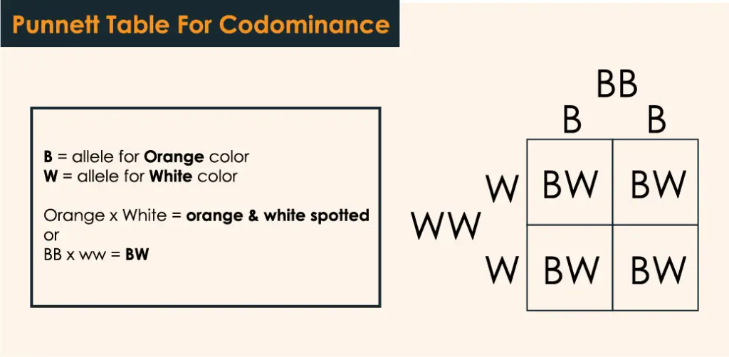 Difference Between Incomplete Dominance And Codominance 24 Hours Of 