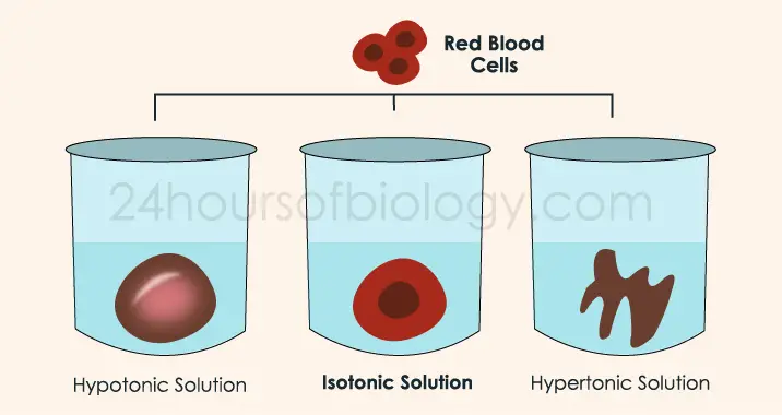 Isotonic