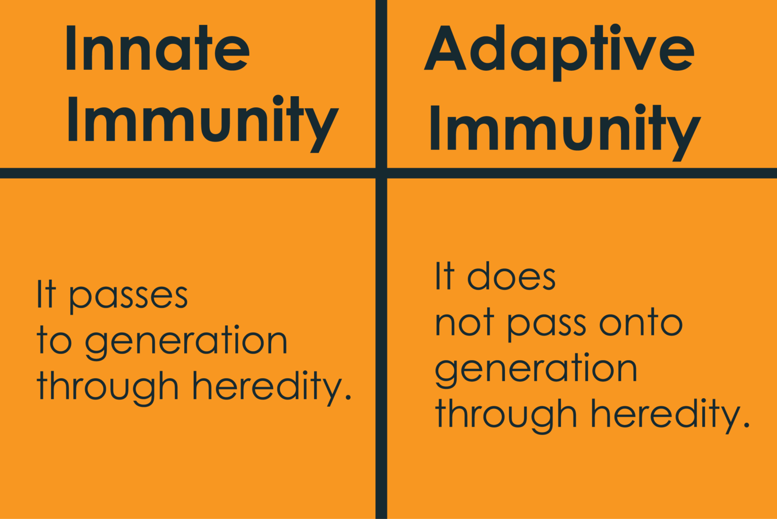 difference-between-innate-and-acquired-immunity-24-hours-of-biology